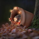ガーデンライトLEDソーラーライト ソーラーパワー Muldale Hedgehog Garden Statue Solar Light - Hedgehog Ornament Outdoor - Solar Powered Yard Decor for Outside - Hand Painted Floral Light Up Ornament 5.75" 【並行輸入品】