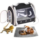 インコ 小鳥 バード トラベルキャリアー Bearded Dragon Travel Carrier Backpack,Lizard Backpack Carr...