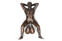 ドアノッカー Brass Balls Door Knocker, Doorballs are a Funny Gag Gift for White Elepha...