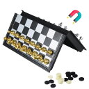 チェスセット Travel Chess Set 9.8'' -Silver and Golden Chess Set- Educational Games for Kids and Adults with Game Board (9.8''_Silver and Golden) 【並行輸入品】