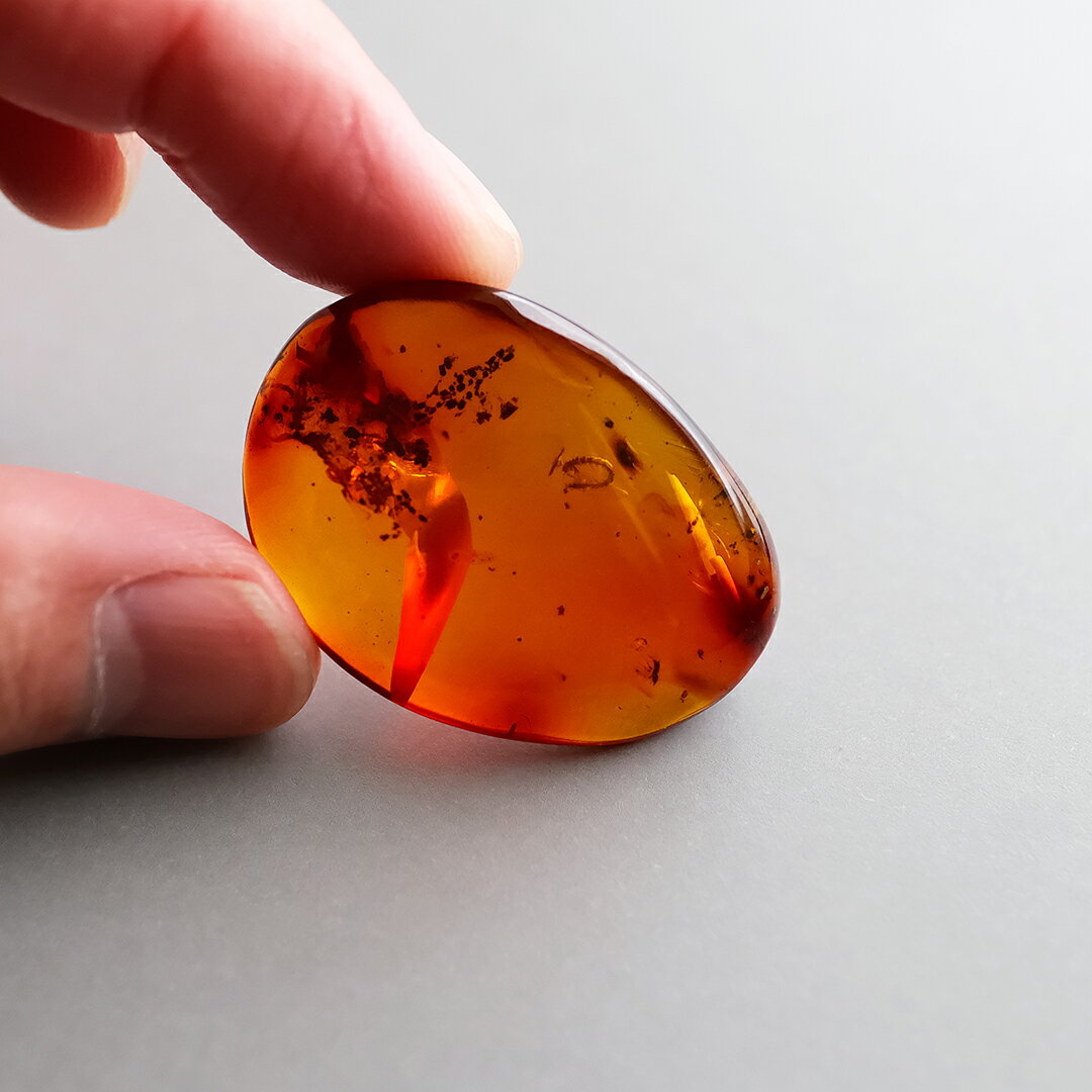 470　オススメ　希少　虫入り琥珀　コハク 470オススメ希少虫入り琥珀コハク