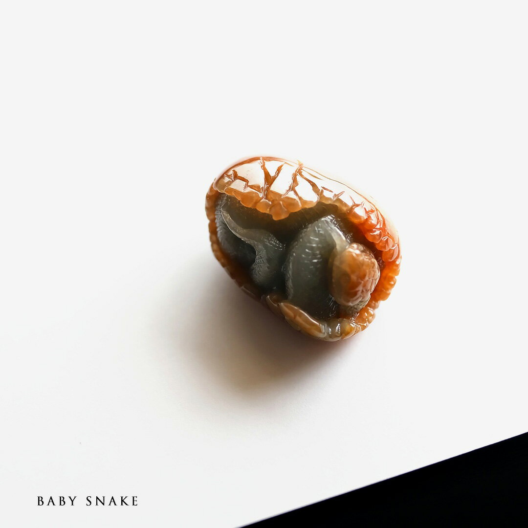 Rakuten - 翡翠(ヒスイ) 彫刻 ペンダントトップ 『BABY SNAKE』オレンジブラウン＆アイシーグリーン翡翠 ミャンマー産天然ひすい 蛇 ヘビ スネーク 【商品番号99282】