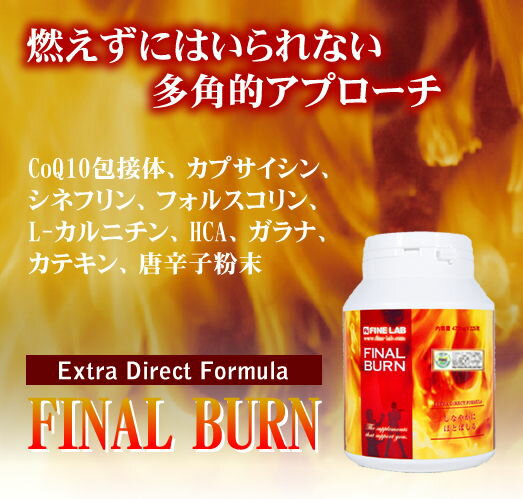 MJDIVA◆ファインラボファイナルバーン