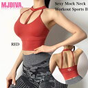 【SALE】MJDIVA ホルター紐typeシースルーブラトップRDズンバ ズンバウェア ズンバ新作 サルセーション(4)