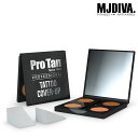 ProTan Tatoo Cover-Up 美尻 美脚 フィットネスウェア スポーツウェア 筋トレ 可愛いトレーニングウェア 脚長効果 ダンスウェア レギンス ...