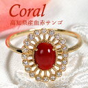 【送料無料】K18YG 大粒 血赤サンゴ ダイヤモンド リング【高知県産】希少 国産 サンゴ 珊瑚 ゴールド 18金 品質保証書 レディース ジュエリー ギフト 贈り物 可愛い おしゃれ 紅 幸運 厄除け 開運 アミュレット コーラル 無垢 カボション アンティーク