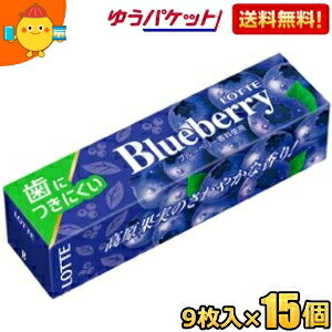 ゆうパケット送料無料 ロッテ 9枚 歯につきにくい ブルーベリーガム 15個入