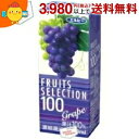 エルビー フルーツセレクション グレープ100% 200ml紙パック 24本入 (果汁100%ジュース ぶどうジュース)