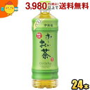 伊藤園 お〜いお茶 緑茶【手売用】 600mlペットボトル 24本入 おーいお茶(4)