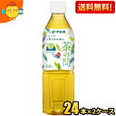 期間限定特価 【送料無料】 伊藤園 茶の間 500mlペットボトル 48本(24本×2ケース) お茶 緑茶 国産茶葉100%
