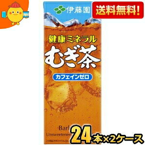 楽天ジュースとお菓子のお店コムマートあす楽対応 【送料無料】伊藤園 健康ミネラルむぎ茶 250ml紙パック 48本（24本×2ケース） 〔ミネラル麦茶〕 ※北海道800円・東北400円の別途送料加算 [39ショップ]