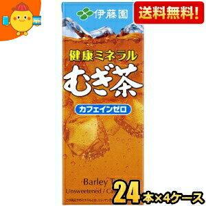 あす楽対応 【送料無料】伊藤園 健康ミネラルむぎ茶 250ml紙パック 96本(24本×4ケース) 〔ミネラル麦茶〕 ※北海道800円 東北400円の別途送料加算 39ショップ