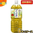 期間限定特価【送料無料】伊藤園 伝承の健康茶 健康焙煎 そば茶 2Lペットボトル 12本(6本×2ケース) 韃靼そば茶 普通そば ※北海道800円・東北400円の別途送料加算 [39ショップ]