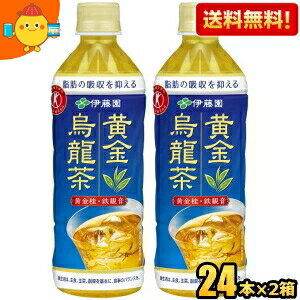 【送料無料】 伊藤園 黄金烏龍茶 500mlペットボトル48本（24本×2ケース） (脂肪の吸収を抑える 特保 お茶 特定保健用食品 トクホ ウーロン茶 お茶) ※北海道800円・東北400円の別途送料加算