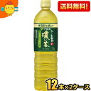 スリムボトル【送料無料】伊藤園 機能性表示食品 お〜いお茶 濃い茶 1Lペットボトル 24本(12本×2ケース) おーいお茶 濃いお茶 ※北海道800円・東北4...