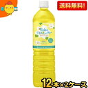 期間限定特価【送料無料】伊藤園 Relaxジャスミンティー 1Lペットボトル 24本(12本×2ケース) リラックスジャスミンティー スリムボトル ※北海道80...