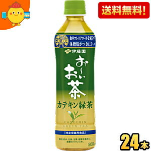 【送料無料】伊藤園 お〜いお茶 カテキン緑茶 500mlペットボトル 24本入 二つの働き 特保 トクホ 特定保健用食品 ※北海道800円・東北400円の別途送料加算のサムネイル