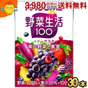 カゴメ 野菜生活100 ベリーサラダ 100