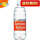 【送料無料】 大塚製薬 アミノバリュー4000 500mlペットボトル 24本入 (スポーツドリンク)【機能性表示食品】 ※北海道800円・東北400円の別途送料加算(4)