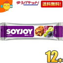 ゆうパケット送料無料 大塚製薬 SOYJOY(ソイジョイ) 3種のレーズン 12本入