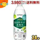 【期間限定特価】ポッカサッポロ 富良野ホップ炭酸水 500mlペットボトル 24本入(4)