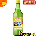 期間限定特価【送料無料】ポッカサッポロ お酒にプラスレモン 540ml瓶 24本(12本×2ケース) (ビン 焼酎・ウォッカ・ジンなどの割り材に) ※北海道80...