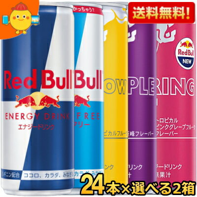 ̵ۥåɥ֥ ʥɥ 250ml 48ܥå(24٤2ƥ) (RED BuLL Ρޥ륿 ...