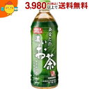 サンガリア あなたの濃いお茶 500mlペットボトル 24本入