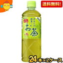 【送料無料】サンガリア あなたの抹茶入りお茶 600mlペットボトル 48本 (24本×2ケース) ※北海道800円・東北400円の別途送料加算 [39ショップ...