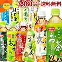 サンガリア あなたのお茶シリーズ選べる500mlPET 24本入 緑茶 麦茶 烏龍茶 濃いお茶 烏龍茶 ブレンド茶 抹茶入りお茶 玄米茶 ほうじ茶 ルイボスティー ジャスミン茶