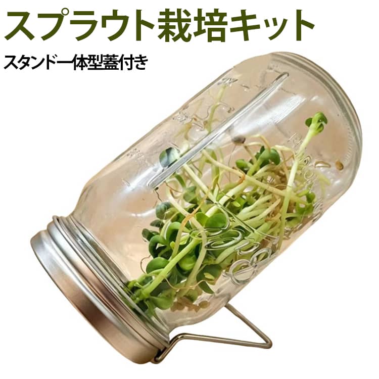 送料無料スタンド付き蓋ブロッコリー...