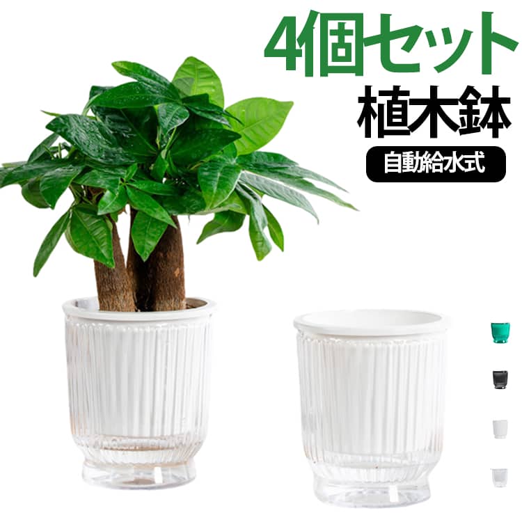 底面給水 出張 プランター 旅行 4個セット 吸水ロープ付き 水耕栽培 透明 ハーブ 植木鉢 観葉植物 給水プランター 多肉植物 留守 花 おしゃれ 室内 屋外 根腐れ防止 プラスチック 4個セット 家庭菜園 リビング キッチン デスク