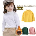 ロンT カットソー 長袖 防寒 Tシャツ 吸湿 送料無料 子供用 男の子 女の子 キッズ ハイネック インナーシャツ トップス 秋 冬 子供服 無地 タートルネ...