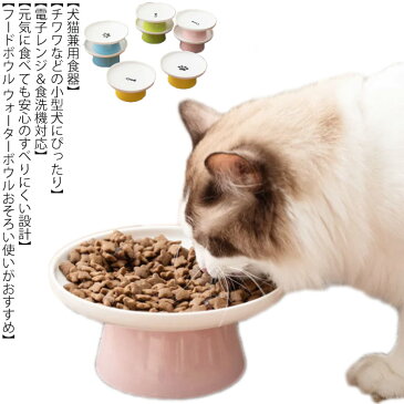 猫 食器 食べやすい 陶器 フードボウル スタンド 脚付 食器台 高さ 猫用 餌皿 ねこ 餌入れ フードボール セラミック 犬 子猫 ご飯 皿 食器台 ペット食器 えさ 滑り止め ボウル おしゃれ かわいい