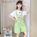 女の子 夏服 くま 子ども服 丸首 2点セット セットアップ 子ども服 夏着 半袖 可愛い Tシャツ ハート Tシャツ キッズ 姉妹 旅行 リゾート 記念日