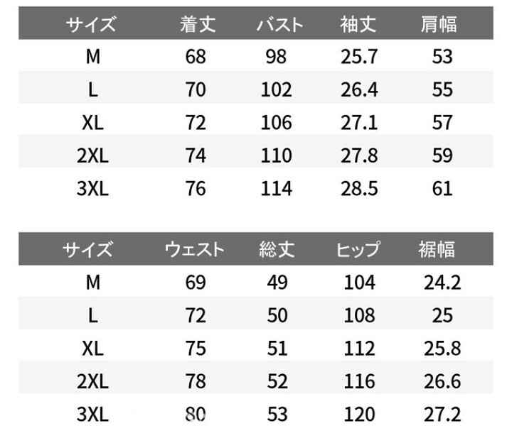 上下 メンズ ジャージ スポーツ スポーツ 英字柄 スウェット 半袖 上下セット カジュアル 2