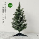 小型 テーブルツリー ミニ 45cm クリスマス飾り クリスマスツリー ミニツリー シンプル おしゃれ 棚上 小さい ミニツリー 玄関 モミの木 ヌードツリー ...