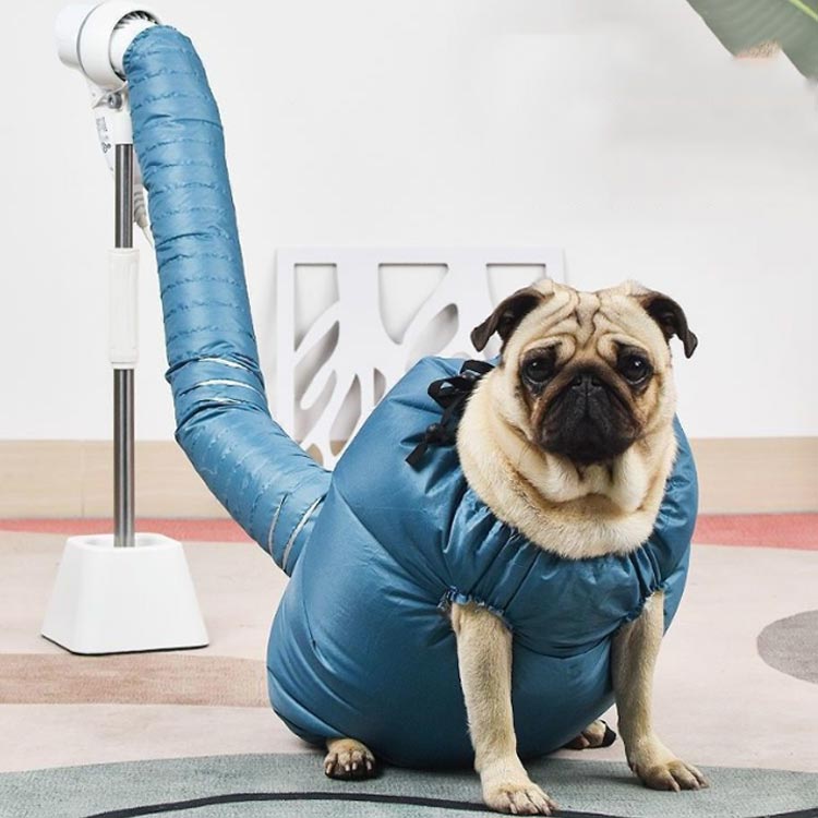 �� ����Ϥ�� �ɥ饤�䡼������ ���祦���� �ɥ饤�䡼�Хå� ���祱���� �ɥ饤�롼�� ������ ����Ϥ�夬�� ������ ������ �ڥå��� ®�� ������ �ɥ饤�䡼 �� �ͤ� ����Ȣ �ɥ饤������ �Ӥ������ɻ� �Х����å�