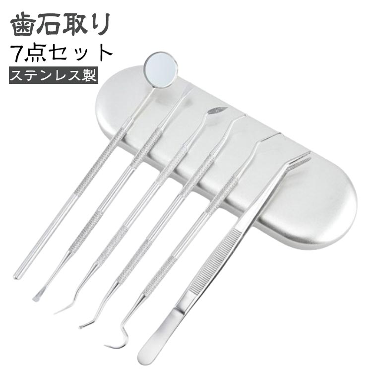 ヤニとり 6点セット 歯垢 歯石取り 歯石取り 自分で取る 器具 ステンレス製歯用ツール 歯石除去 ヤニ取り デンタルツール 先極細 虫歯 ステンレス製 自宅用 スケーラー 敬老の日 デンタルツール 歯垢取り むし歯 歯周病予防 歯鏡