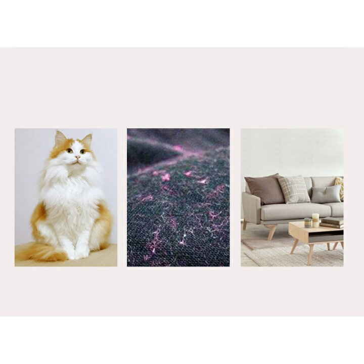 �ݽ��֥饷 ���꡼�ʡ� �����֥饷 ����ѥ��� �ݽ��� �ۥ����� ���� ���� ȴ���ӥ��ե��� �����ڥå��Ӷ̼�� ��ǭ��
