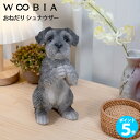 【マラソン期間 P5倍】WOOBIA おねだり シュナウザー H17327 ウービア かわいい ミニチュアシュナウザー 置き物 インテリア シュナ友 ギフト プレゼントに