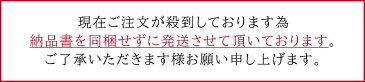 マスク 在庫あり 50枚 あす楽 即納 日本国内在庫あり 三層式 不織布マスク 99％カット 三層構造 ふつうサイズ 50枚セット 使い捨て 男女兼用 プリーツ ホワイト 白 微粒子防止 花粉対策 風邪予防 飛沫防止　マスク在庫あり ますく