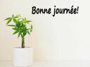 ウォールステッカー おしゃれ Bonne journee! フランス語 よい一日を！ お試し価格 メール便 送料無料 玄関 店舗 レストラン カフェ 入口 看板 シンプル ゴールド文字 看板 sticker シール フォント