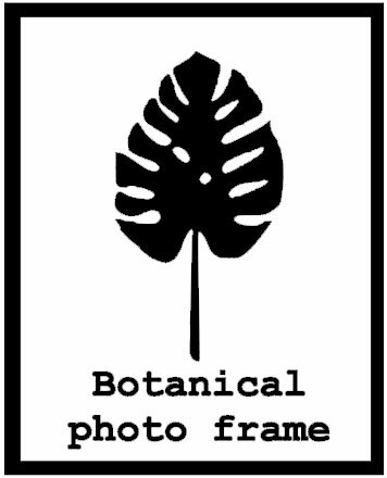 ウォールステッカー ボタニカルフォトフレーム Sサイズ メール便 送料無料 ハワイアン キッチン トイレ フレーム botanical photo frame 夏 summer サマー kitchen toilet reaf 葉っぱ hawaii 店舗 シール