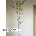 EH[XebJ[ c[ tree B JtF ͋Co ACe ǎ  R i` 傫 TCY O[ green  wall sticker home forest cafe shop V[ Vv