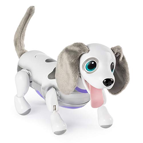 ギフトラッピング可 ハロー ズーマー ミニチュアダックス ホワイト Tremium ギフトラッピング可 ハロー ズーマー ミニチュアダックス ホワイト Tremium