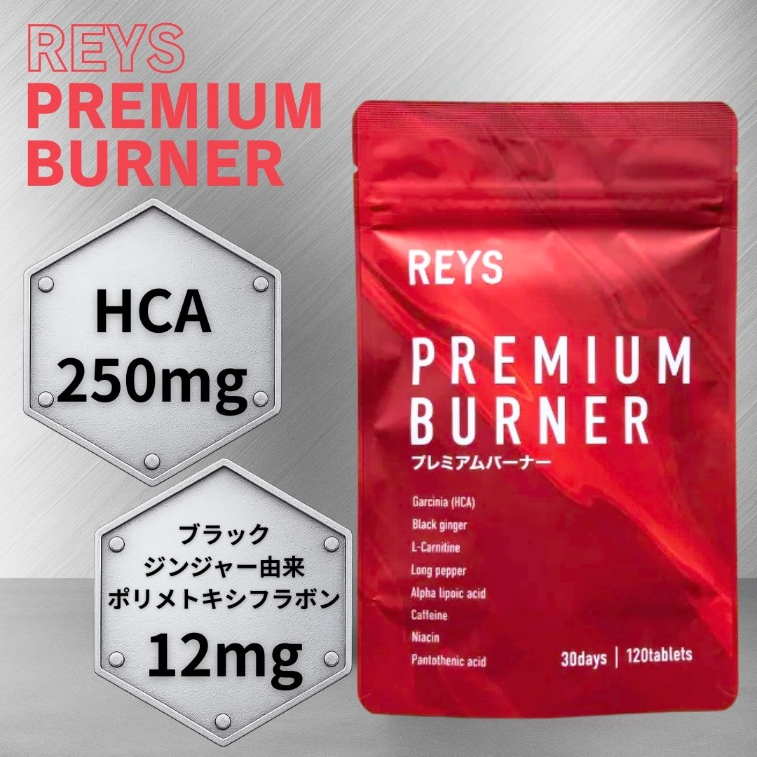 �쥤�� �ץ�ߥ���С��ʡ� REYS PREMIUM BURNER ���֥�å� 120γ 30��ʬ ����˥��� HCA �֥�å����󥸥㡼 ����˥��� �ҥϥ� ...