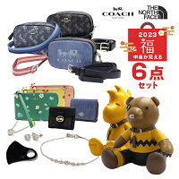 【10点限定!豪華10万円福袋 2023】 【年明け出荷】ブランド 中身の見える福袋 バッグ 財布 ドール ポーチ マスク アクセサリー 豪華6点セット コーチ ノースフェイスギフト プレゼント 男性 女性 誕生日