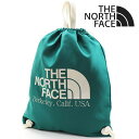 【お買い物マラソンセール開催中】ザ ノースフェイス リュック レディース メンズ THE NORTH FACE バックパック バッグ BIG LOGO STRI...