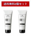 【2個セット】シュワルツコフ ファイバープレックス シャンプー 100g